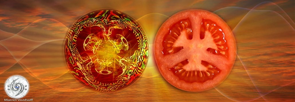 Visuele Frequenties Lezing